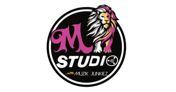 Secondlion FM