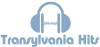 Transylvania Hits