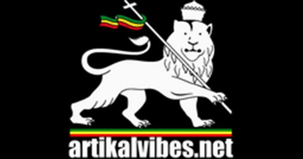 ArtikalVibes