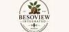 Besoview Integrated Radio
