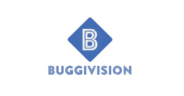 Buggivision