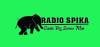 Radio Spika