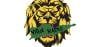 ViiLD SOCA Logo