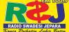 Radio Swadesi FM 100.9 Jepara Logo