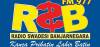 Radio Swadesi FM 97.7 Banjarnegara Logo